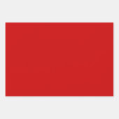 プレーンボストンブラッドオーバーンレッドシェード3トーン ラッピングペーパーシート (正面2)