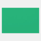 プレーンマンセルフォレスト環境にやさしいことをしようシェード3トーン ラッピングペーパーシート (正面3)