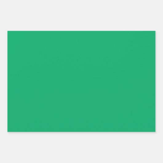 プレーンマンセルフォレスト環境にやさしいことをしようシェード3トーン ラッピングペーパーシート (正面3)