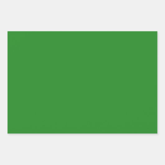 プレーンマンセルフォレスト環境にやさしいことをしようシェード3トーン ラッピングペーパーシート (正面2)