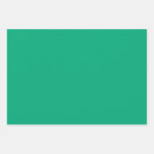 プレーンマンセルフォレスト環境にやさしいことをしようシェード3トーン ラッピングペーパーシート (正面)