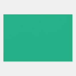 プレーンマンセルフォレスト環境にやさしいことをしようシェード3トーン ラッピングペーパーシート