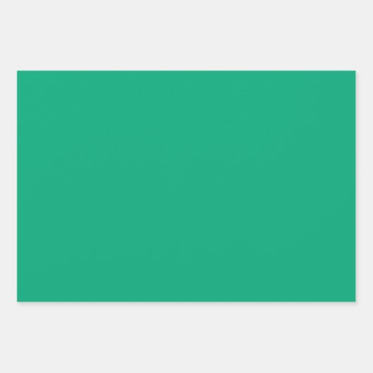 プレーンマンセルフォレスト環境にやさしいことをしようシェード3トーン ラッピングペーパーシート (正面)