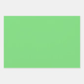 プレーンローレルパステルイエローグリーンシェード3トーン ラッピングペーパーシート (正面2)