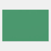 プレーンローンミディアムシーグリーンシェード3トーン ラッピングペーパーシート (正面3)