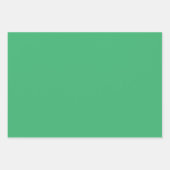 プレーンローンミディアムシーグリーンシェード3トーン ラッピングペーパーシート (正面2)