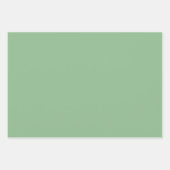 プレーン無地のシー淡い色のグリーンシェード3トーン ラッピングペーパーシート (正面3)