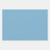プレーン無地のパステルダスティブルー ラッピングペーパーシート (正面2)