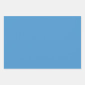 プレーン王室のスターパラティナートブルーシェード3トーン ラッピングペーパーシート (正面2)