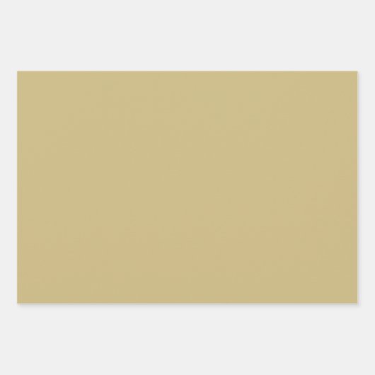 プレーン鈍い砂漠モスブラウンシェード3トーン ラッピングペーパーシート (正面2)