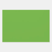 プレーン鮮やかなライムローングリーンシェード3トーン ラッピングペーパーシート (正面2)