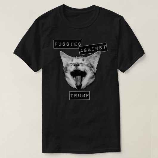 プロイセンとトランプグレーのフィットTシャツ Tシャツ (デザイン正面)