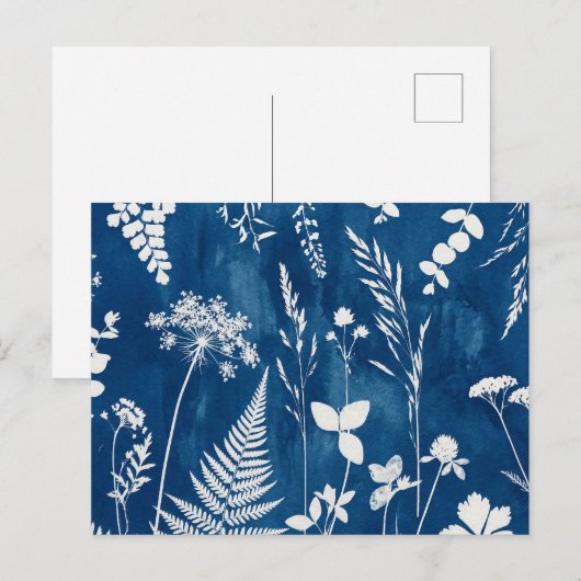 プロイセンインディゴブルーのシアノタイプのシダ植物の植物画 ポストカード (正面/裏面)