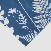 プロイセンインディゴブルーのシアノタイプのシダ植物の植物画 薄葉紙 (詳細)