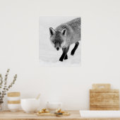 プロウリングキツネ ポスター (キッチン)