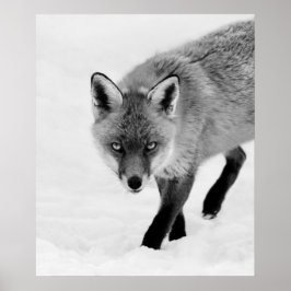 プロウリングキツネ ポスター