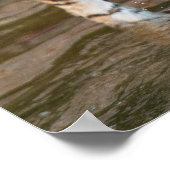 プロウリングタイガーポートレート写真 ポスター (角)