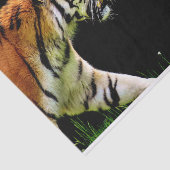 プロウリングタイガー 薄葉紙 (詳細)