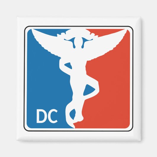 プロカイロプラクター磁石 マグネット (正面)