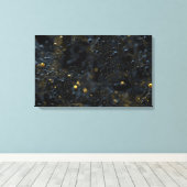 プロキマ（黒） キャンバスプリント (インサイチュ (ウッドフロア))