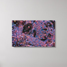 プロクシマ キャンバスプリント