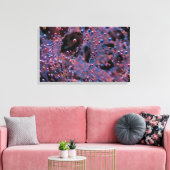 プロクシマ キャンバスプリント (インサイチュ (リビング))