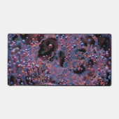 プロクシマ デスクマット (正面)