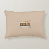 プログラマーおよび問題ソルバーの技術凡例 アクセントクッション (正面)