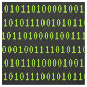 プログラミング1sおよび0sコンピュータコード – 開発者 ファブリック (見本)