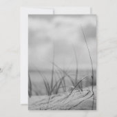 プログラムビーチ結婚ダネスの儀式 招待状 (裏面)