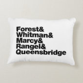 プロジェクト アクセントクッション (裏面)