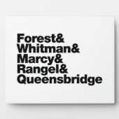 プロジェクト フォトプラーク (正面)