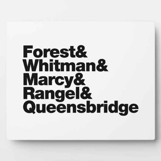 プロジェクト フォトプラーク (正面)