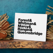 プロジェクト フォトプラーク (側面)