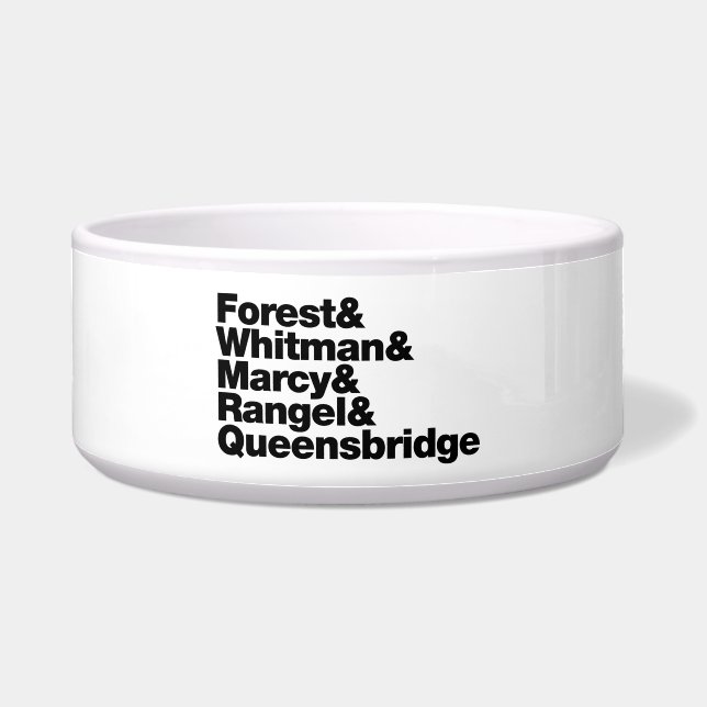 プロジェクト ボウル (正面)