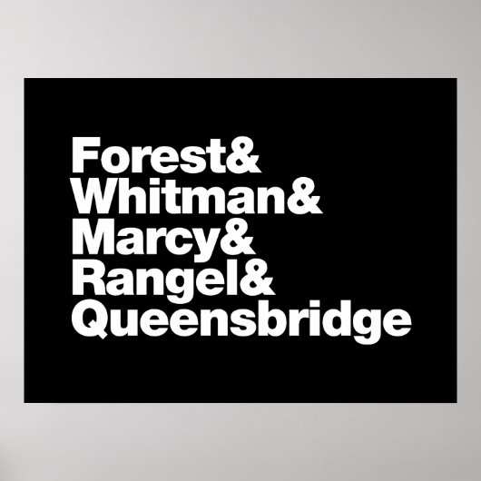 プロジェクト ポスター (正面)