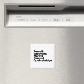 プロジェクト マグネット (インサイチュ (食洗機))