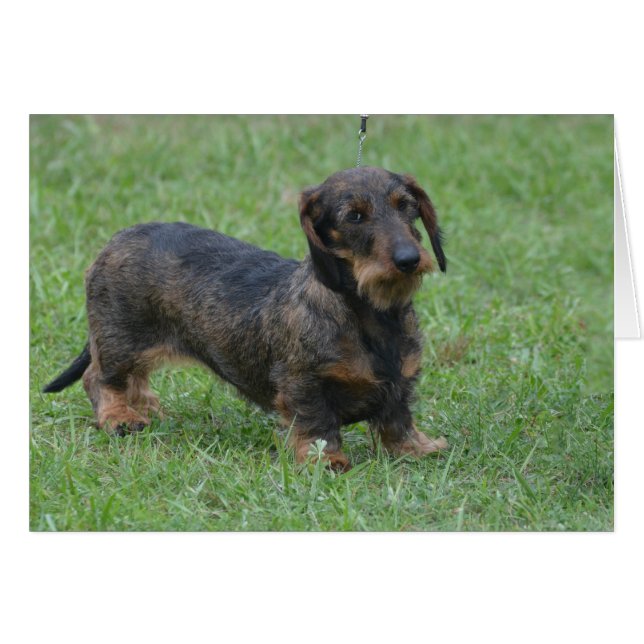 プロダクトをカスタマイズ (正面横)