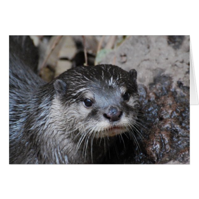 プロダクトをカスタマイズ (正面横)