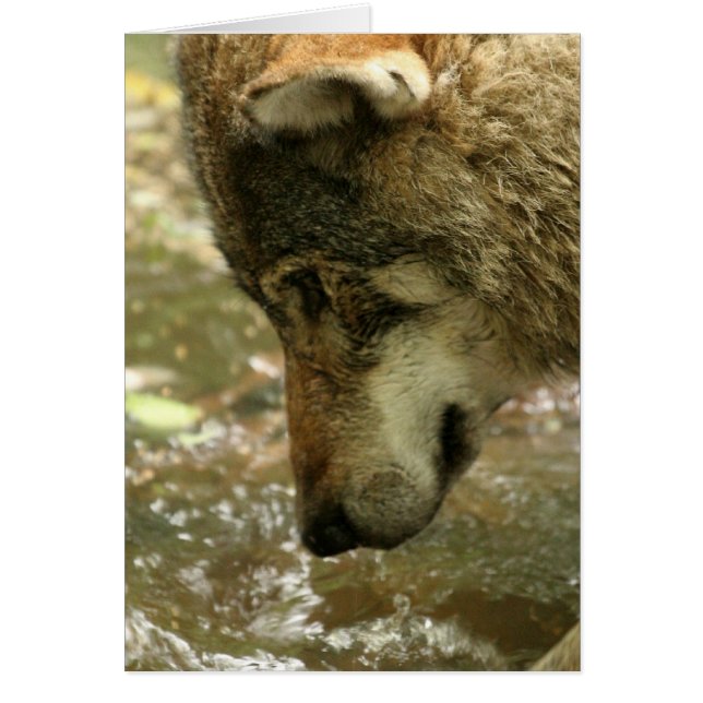 プロダクトをカスタマイズ (正面)