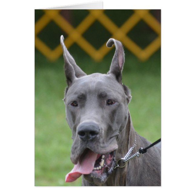 プロダクトをカスタマイズ (正面)