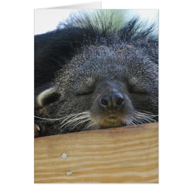 プロダクトをカスタマイズ (正面)