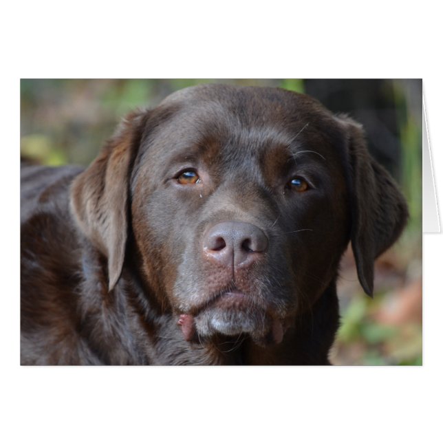 プロダクトをカスタマイズ (正面横)