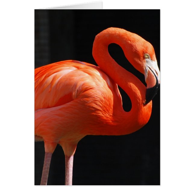 プロダクトをカスタマイズ (正面)