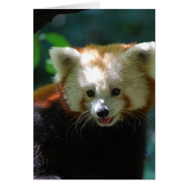 プロダクトをカスタマイズ (正面)