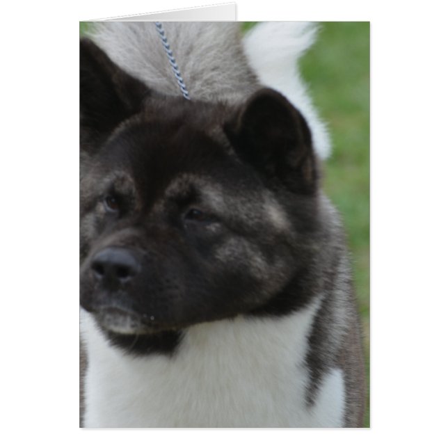 プロダクトをカスタマイズ (正面)