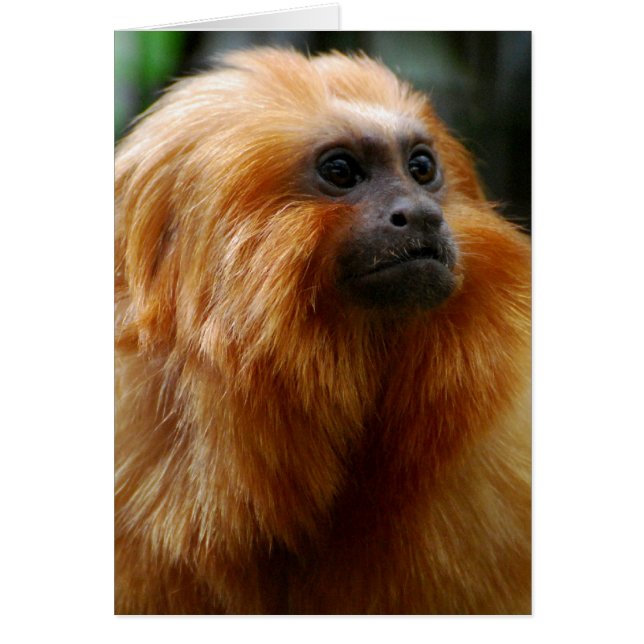 プロダクトをカスタマイズ (正面)