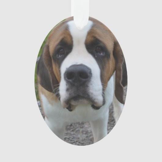 プロダクトをカスタマイズ オーナメント (正面)