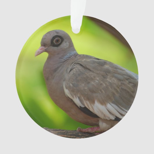 プロダクトをカスタマイズ オーナメント (正面)