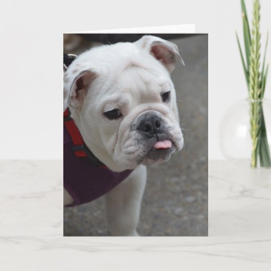 プロダクトをカスタマイズ カード (正面)